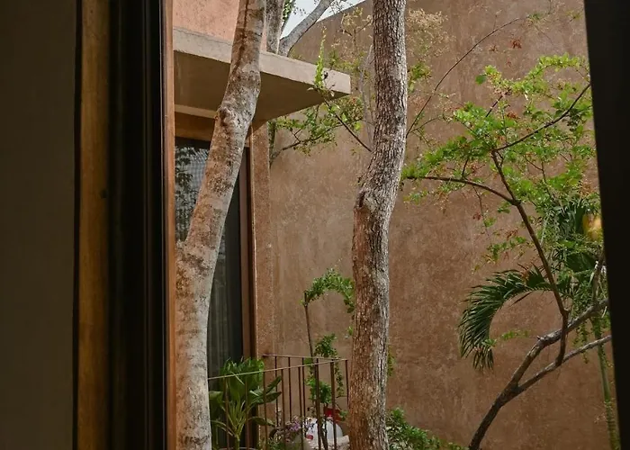 Stylish 3br With Rooftop Plunge Pool, La Veleta *