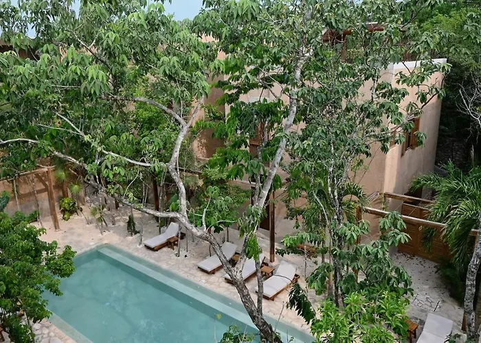 Ferienhaus Stylish 3br With Rooftop Plunge Pool, La Veleta Tulum